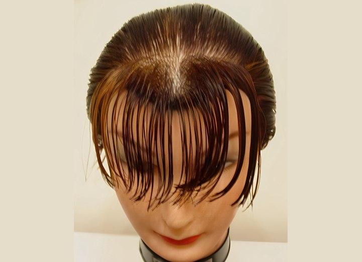 Flequillo con forma de rectángulo