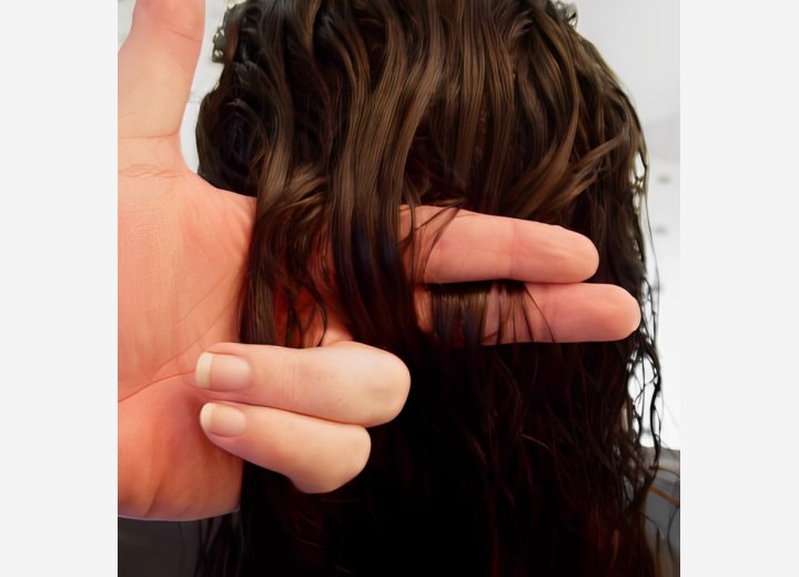 Trenza francesa