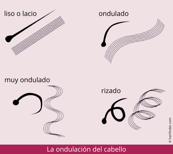 La ondulación del cabello