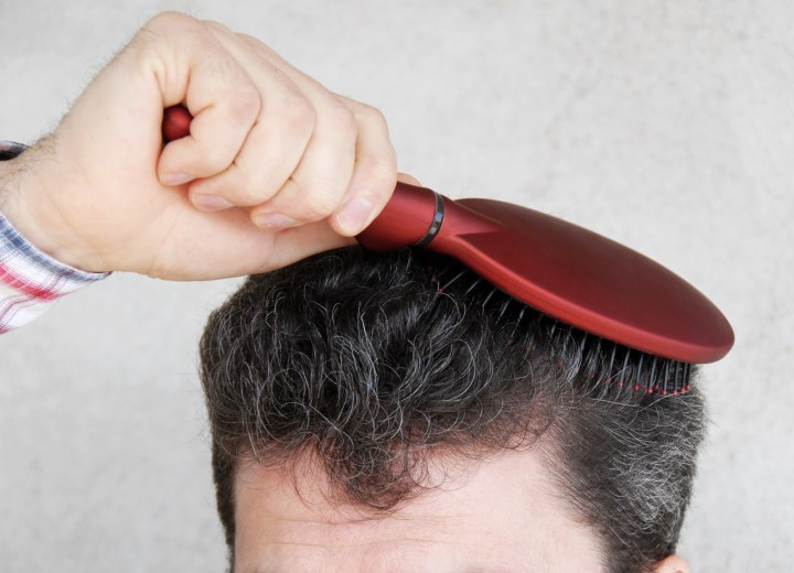 Pelo canoso